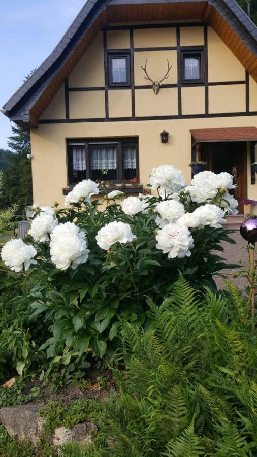 Birkenhain Stolberg  Bagian luar foto